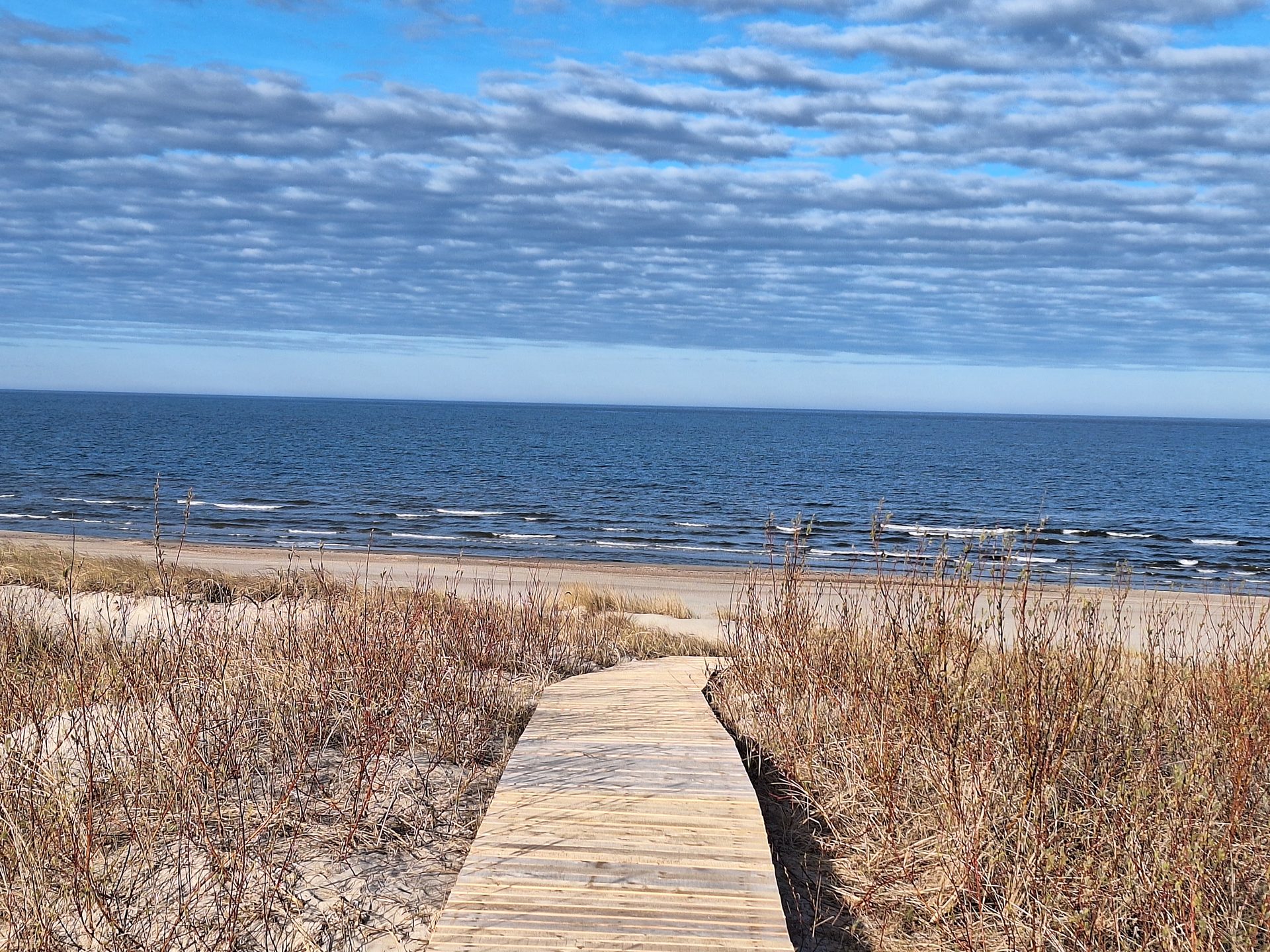 Baltic Sea coastline near Palanga, Lithuania — Peace Hike 2027 route